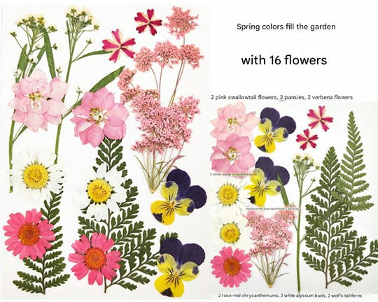 Create with Nature — Plant Dyeing Tools