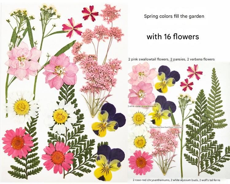 Create with Nature — Plant Dyeing Tools