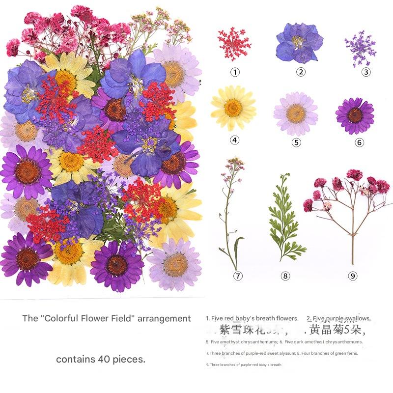 Create with Nature — Plant Dyeing Tools