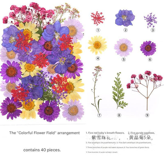 Create with Nature — Plant Dyeing Tools